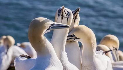 昆明高价上海医保提取2025的最新政策(2025年昆明上海医保怎么提取现金分享)