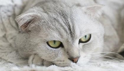 昆明高价上海医保提取2025的最新政策(2025年昆明上海医保怎么提取现金分享)