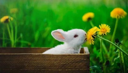 昆明高价上海医保提取2025的最新政策(2025年昆明上海医保怎么提取现金分享)